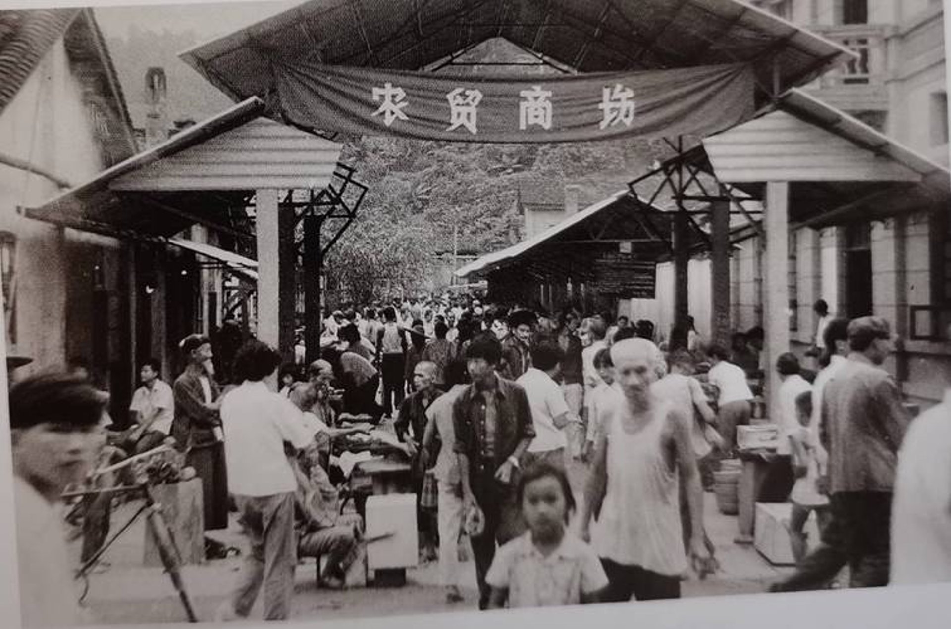 北京淘回收